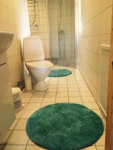 a bathroom with a toilet and two green rugs at Gunilla's house in Huaröd in Huaröd