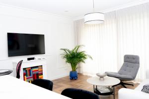 un salon avec une télé, une chaise et une plante dans l'établissement Elegancki Apartament Park Bażantów, à Katowice