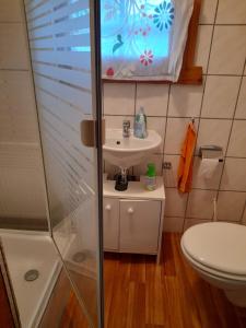 Un baño pequeño con lavabo e inodoro. en Gartenhäuschen, en Ansbach