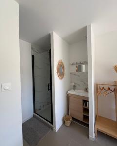 a bathroom with a shower and a sink and a mirror at Chambre indépendante vue vignes et mer in Saint-Cyr-sur-Mer +19 photos