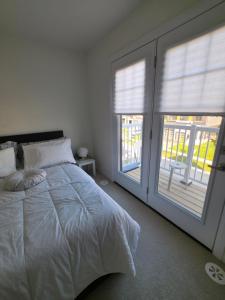 a bedroom with a bed and two large windows at Modern Stylish Cozy Home Balcony Wifi in Caledonia