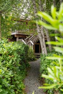 una casa con una scala in mezzo agli alberi di South Swell Tofino (formerly Blue Heron Waterfront Home amid Old Growth Cedars) a Tofino