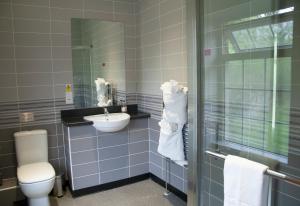 a bathroom with a sink and a toilet and a shower at Gwesty Seren Hotel in Blaenau-Ffestiniog