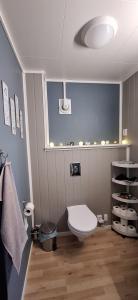 Ένα μπάνιο στο Basement apartment +22 φωτογραφίες