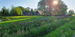 a field of purple flowers in front of some buildings at Bed & Breakfast Twekkelo in Enschede