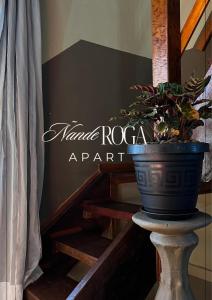 Foto de Ñande Roga Apart