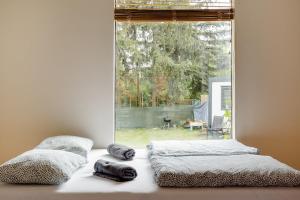 Foto dalla galleria di YUZU FULL-House a Petržalka