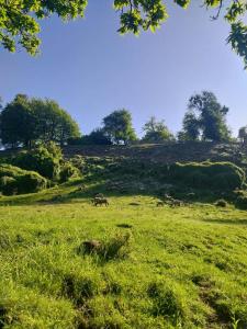 Fotografie z fotogalerie ubytování Domos Glamping Killahue v destinaci Atacalco + 4 fotografie