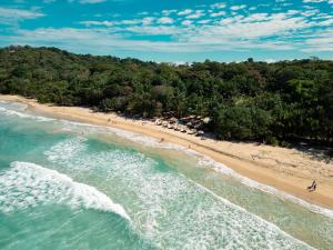 an overhead view of a beach with a group of people at Palmar Beach Lodge in Bocas del Toro