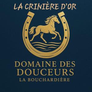 Φωτογραφία από το άλμπουμ του La Crinière d'Or Une chambre raffinée pour une parenthèse de douceur en normandie σε Bonneville-la-Louvet