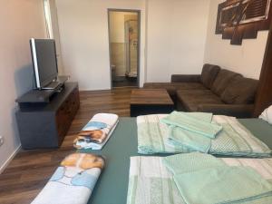a living room with a couch and a television at Stay Zentral Dresden in Dresden