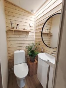 a bathroom with a white toilet and a sink at Nature Cabin for Remote work and Adventures in Yllas in Ylläsjärvi