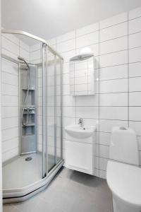 Arctic Hilltop Lodge - Historic Swiss-style Home في Guleng: حمام مع دش ومرحاض ومغسلة