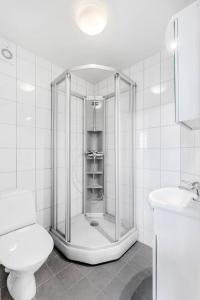 a bathroom with a shower with a toilet and a sink at Arctic hilltop lodge - Room 3 in Guleng