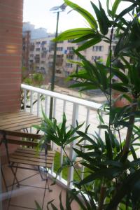 a balcony with a white railing and a plant at Luminoso Bilbao in Bilbao