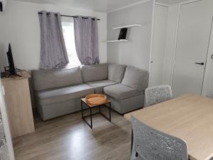 salon z kanapą i stołem w obiekcie Mobilhome aux dunes de contis w mieście Saint-Julien-en-Born