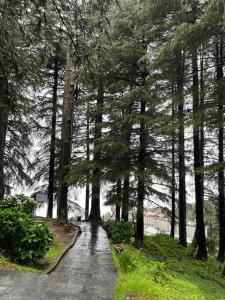 un camino mojado con árboles en un parque en Smart Hill Kalatop, Dalhousie, en Dalhousie