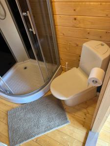 a bathroom with a shower and a toilet and a rug at Metsa Puhkemaja  +25 photos