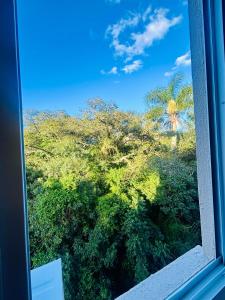 佩洛塔斯Apartamento pelotas的享有棕榈树景致的窗户
