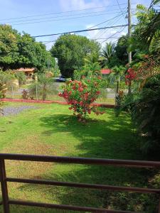 Zahrada ubytování Punta barco apartments