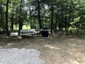 una mesa de picnic y un banco en un parque en A Truly Glamping Experience in this Beautiful Tent in Victor, West Virginia, en Victor