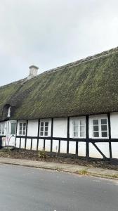 an old building with a grass roof on a street at Hans Christian Andersen Eventyrhuset in Bogense +8 photos
