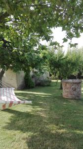 A garden outside Il Gallo Del Vicino