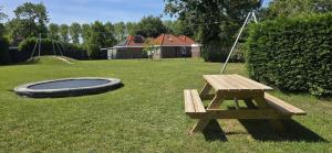 a picnic table and a trampoline in a yard at Lavendel Huisje in Herkingen