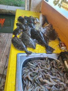 Fotografie z fotogalerie ubytování Lakeview Paradise v destinaci Lake Charles