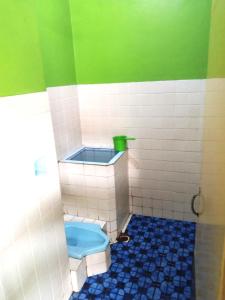 a bathroom with a toilet and a green and white wall at Hotel Budi Famili Budget Syariah in Ciamis