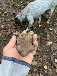 Fotografie z fotogalerie ubytování La casa nel viale v destinaci Asti