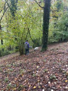 Hosté ubytování La casa nel viale