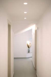 Φωτογραφία από το άλμπουμ του Zeus Jacuzzi Sea View Rooftop στο Κοντόκαλι +34 φωτογραφίες