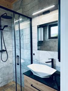 ein Badezimmer mit Waschbecken und Glasdusche in der Unterkunft Leśny Zakątek Brzezinki 