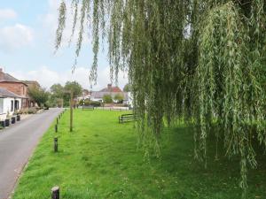 a tree hanging over a green field with benches at Milford in Great Corby