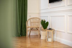 une chaise et une plante dans une pièce dans l'établissement 7 Doors - Boutique Apartments in Kutaisi, à Koutaïssi