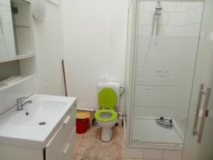 a bathroom with a green toilet and a shower at Night in Liège