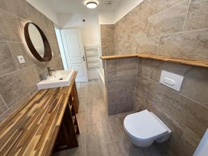 a bathroom with a toilet and a sink and a mirror at Appartement 4 personnes in Orbey