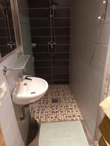 a bathroom with a sink and a shower at Charmante chambre bords du louet . in Rochefort-sur-Loire