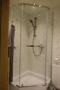 a shower with a glass door in a bathroom at FeWo Wrist in Wrist +17 photos