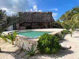 a swimming pool in the middle of a resort at Casa Cocodrilo in Xtampú
