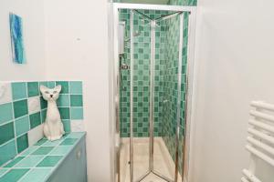 Una ducha en un baño con un gato sentado en un mostrador. en Dart Views, en Dartmouth 36 fotos más