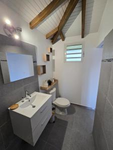 a bathroom with a white sink and a toilet at Le Cataleya in Sainte-Rose