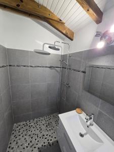 a bathroom with a sink and a shower at Le Cataleya in Sainte-Rose