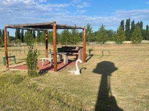 Φωτογραφία από το άλμπουμ του Complejo la Paz Mendoza σε La Porteña +7 φωτογραφίες