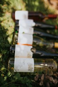 Afbeelding uit fotogalerij van Haus Ambiente in Reil