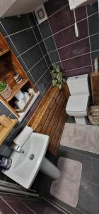 ein Badezimmer mit einer weißen Toilette und einem Waschbecken in der Unterkunft Taff Cottage - Free parking, Fast Wifi, Cosy vibe in Cardiff + 38 Fotos