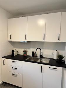 Η κουζίνα ή μικρή κουζίνα στο Modern City Apartment 3 +6 φωτογραφίες