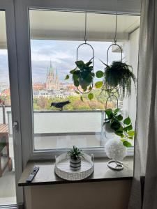 Φωτογραφία από το άλμπουμ του Skyline & Tollwood Apartment στο Μόναχο