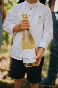 Afbeelding uit fotogalerij van Haus Ambiente in Reil